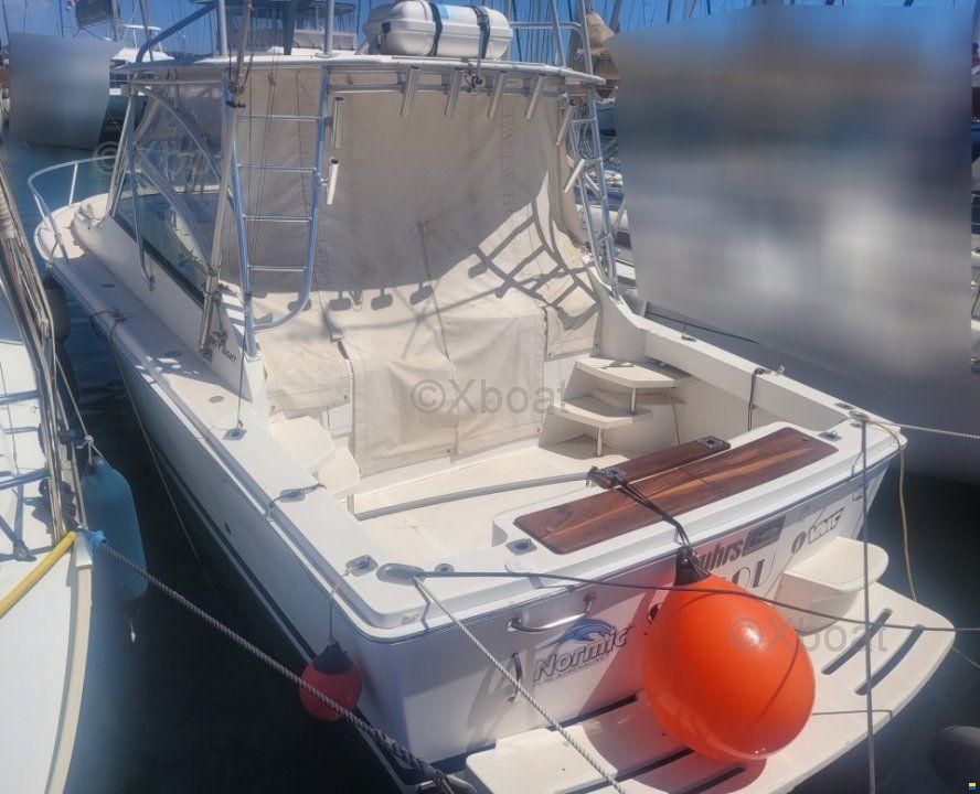 Luhrs 28