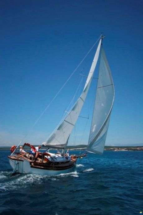 Enavigo 43 Cutter