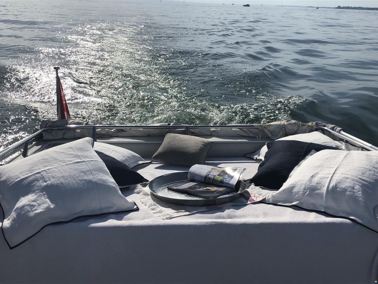 Schweizer Saphire 810