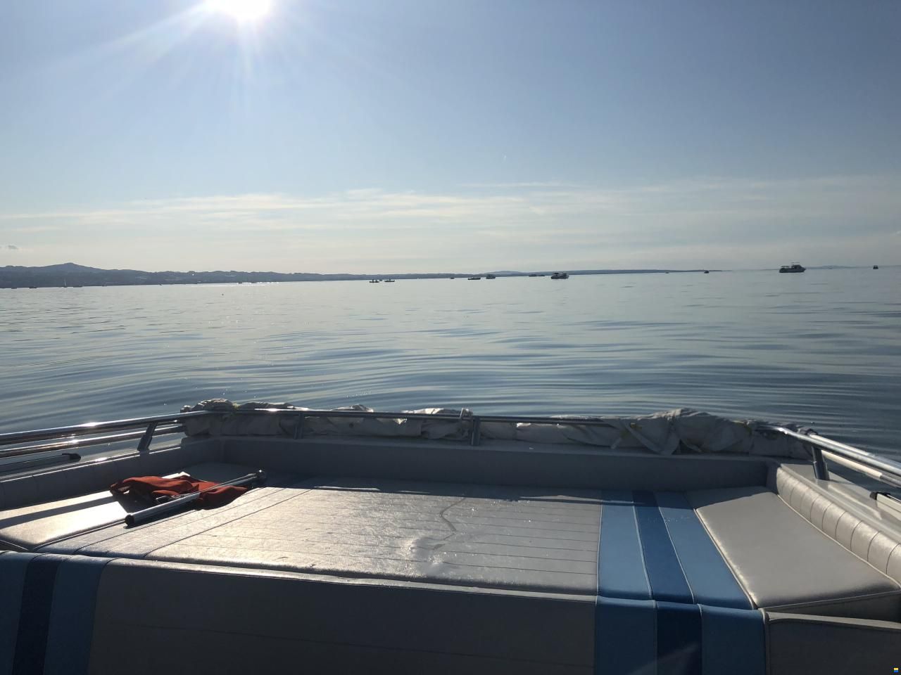 Schweizer Saphire 810