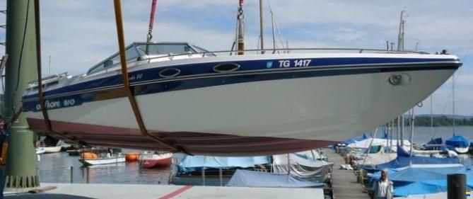 Schweizer Saphire 810