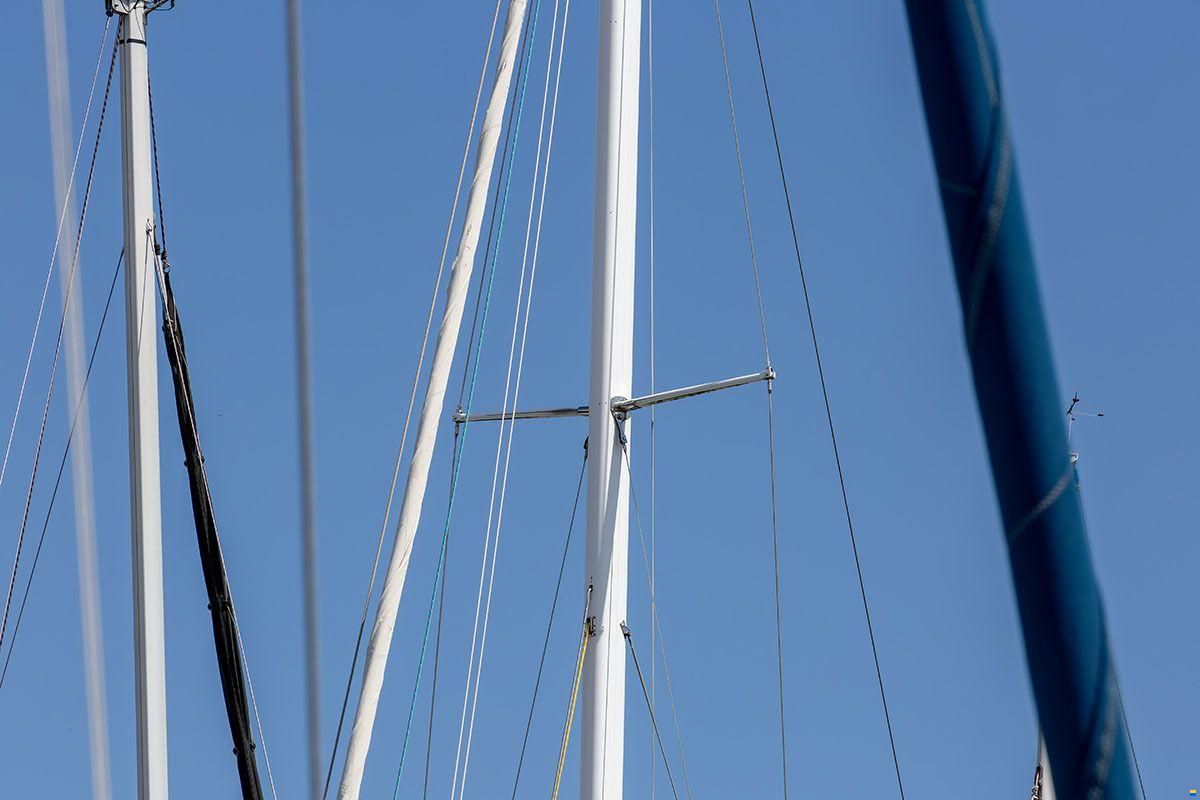 Trintella 42