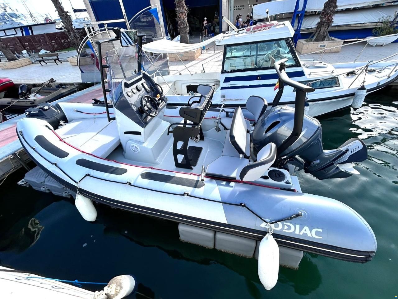 Zodiac Open 5.5 R0099