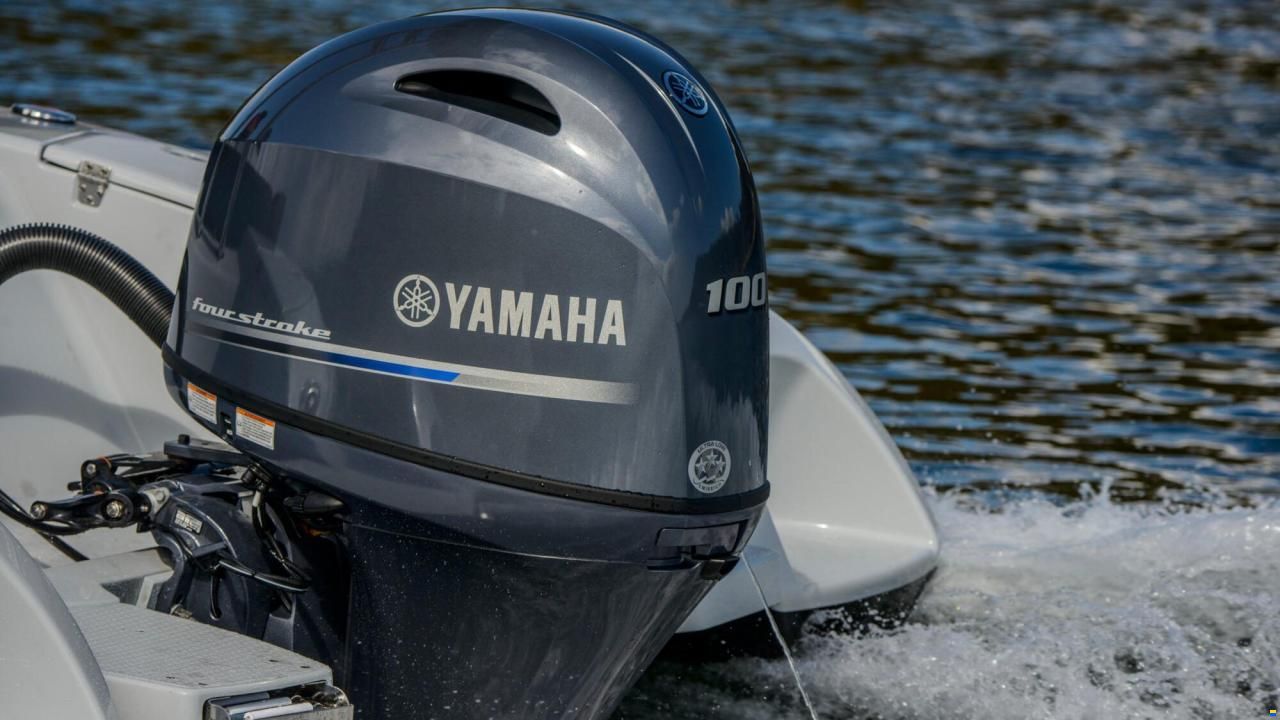 Yamaha F100LB