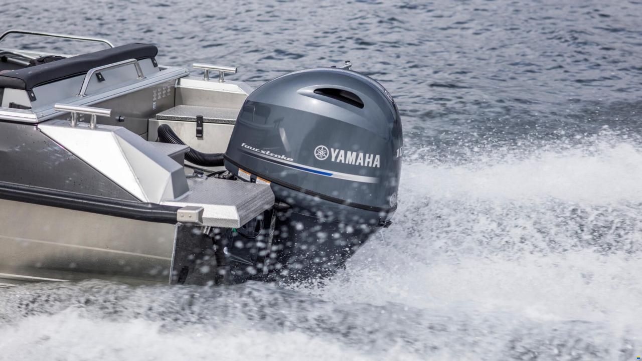 Yamaha F100LB