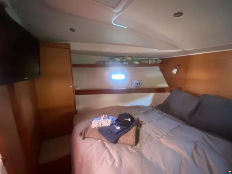 Bavaria Sport 38