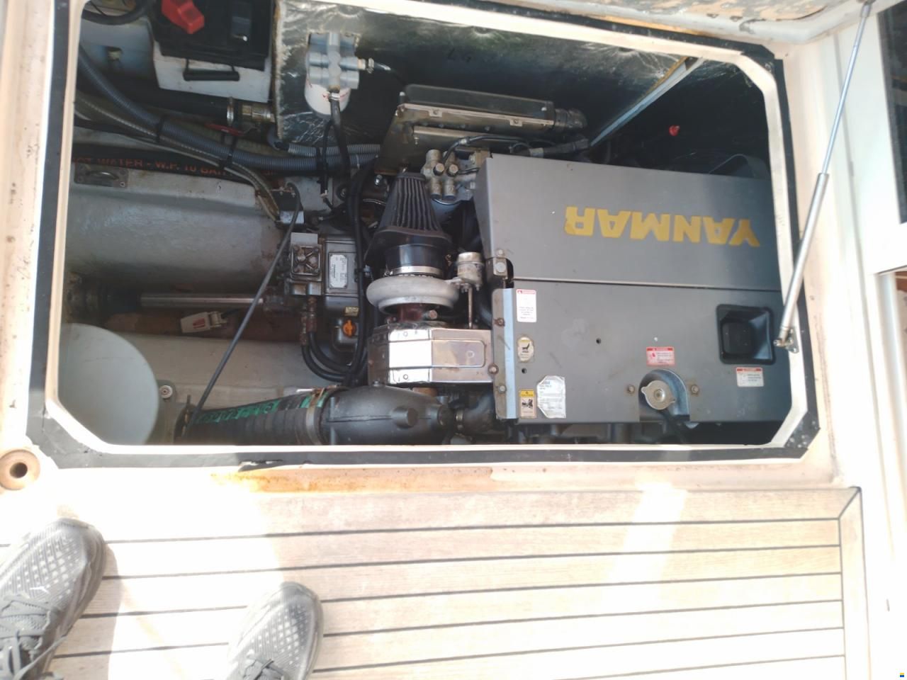 Damor Fjaka 800