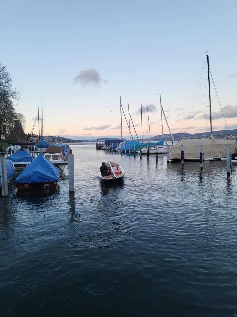 La Gazelle des Îles