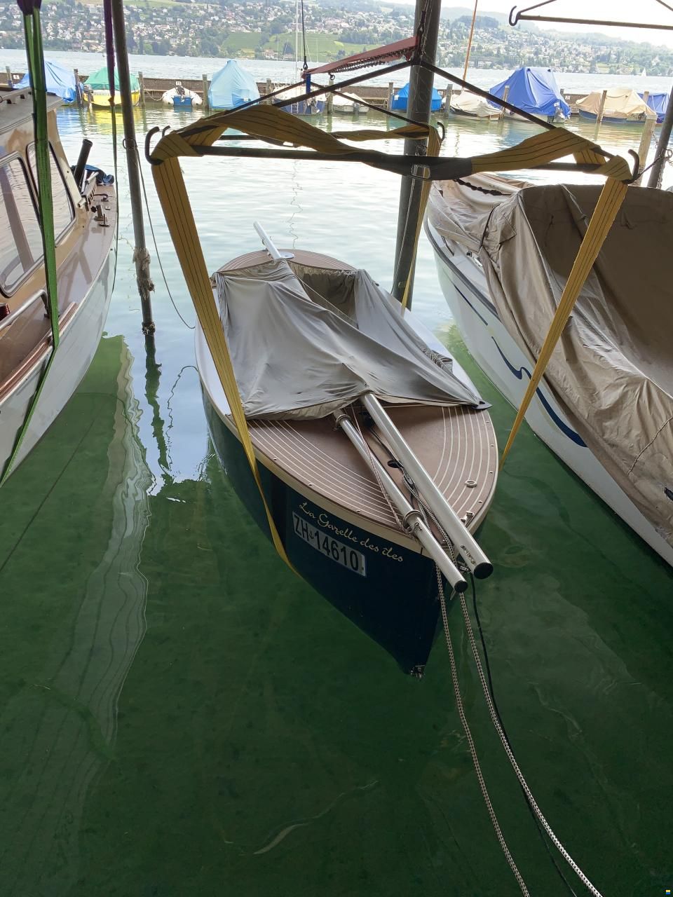 La Gazelle des Îles