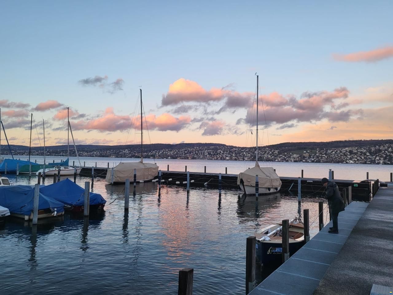 La Gazelle des Îles