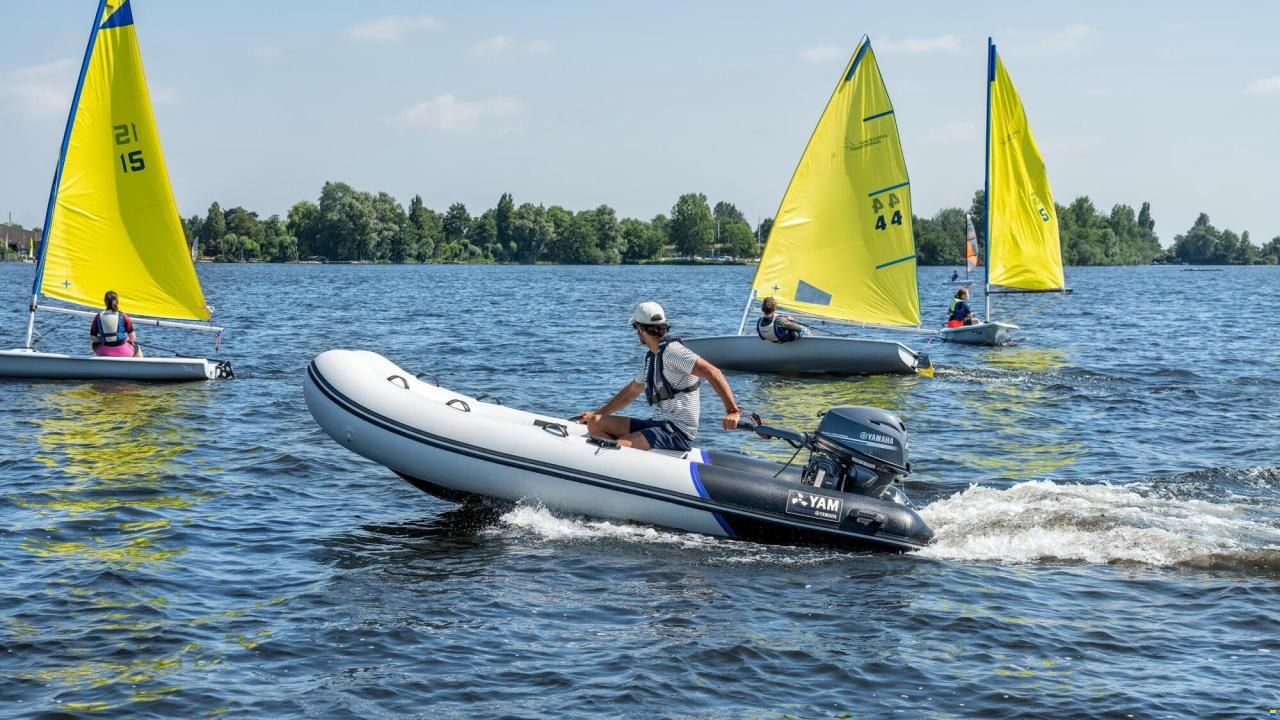 Yamaha 380 S + YAMAHA F 9.9 JMHL