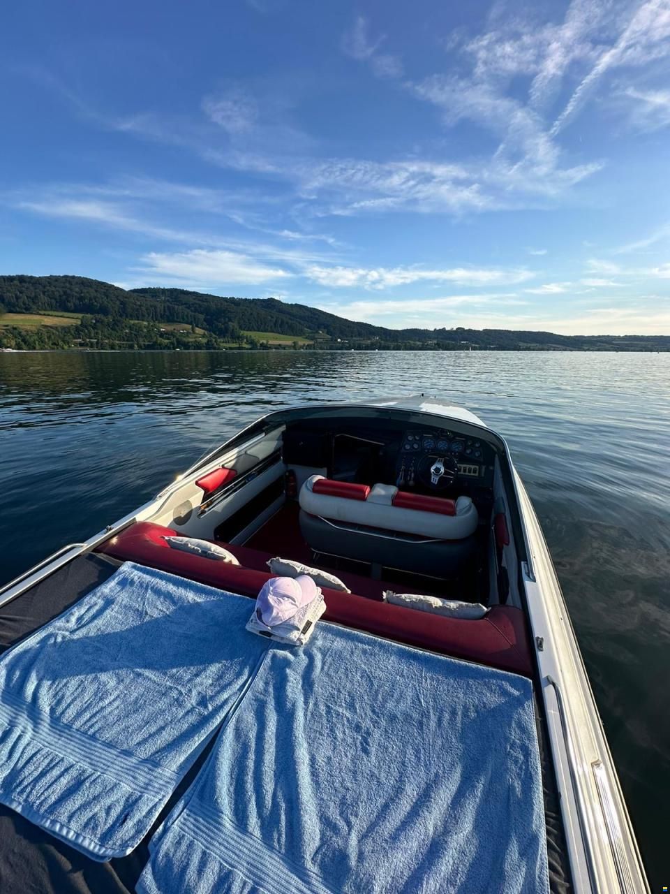 Donzi Z 29