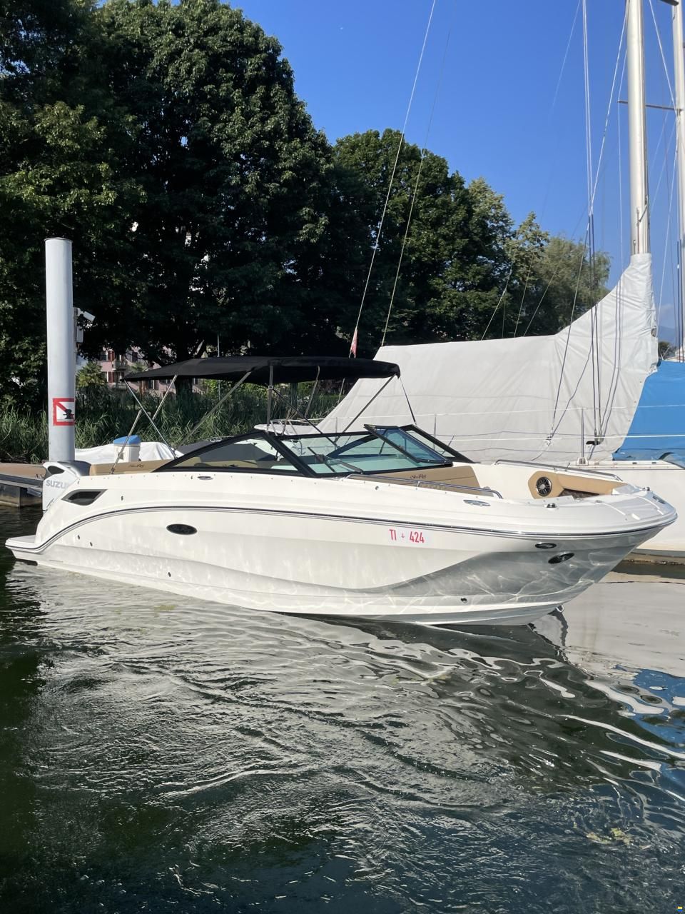 Sea Ray SDX 250