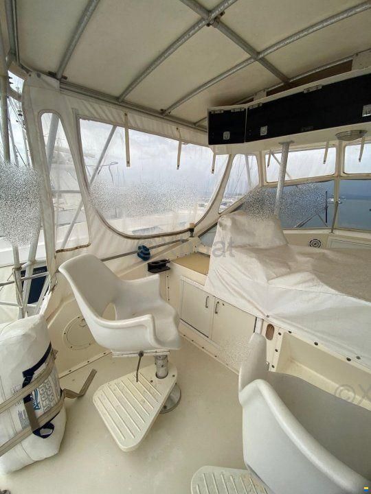 Hatteras 51