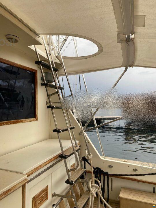 Hatteras 51