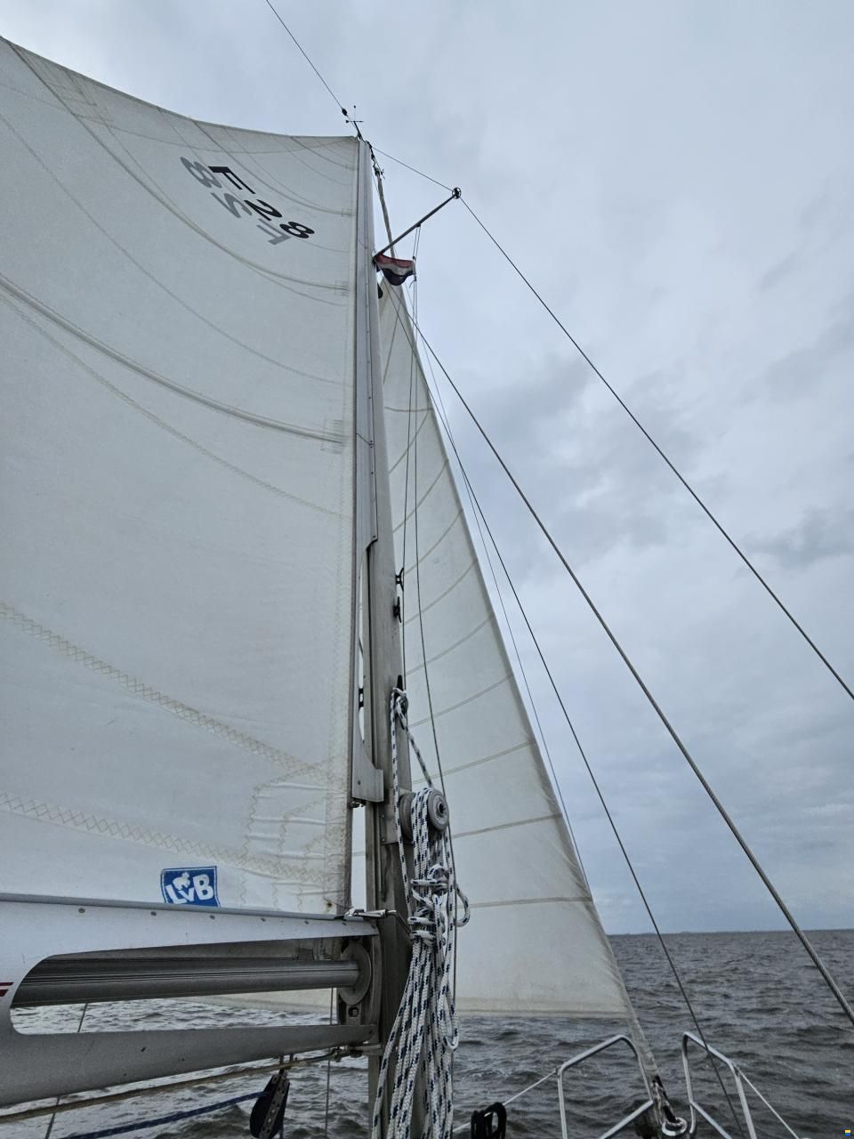 de Kloet Fellowship 28