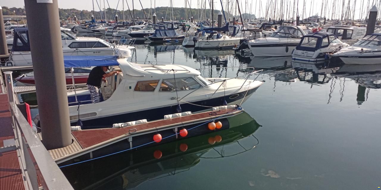 Bella Falcon 26