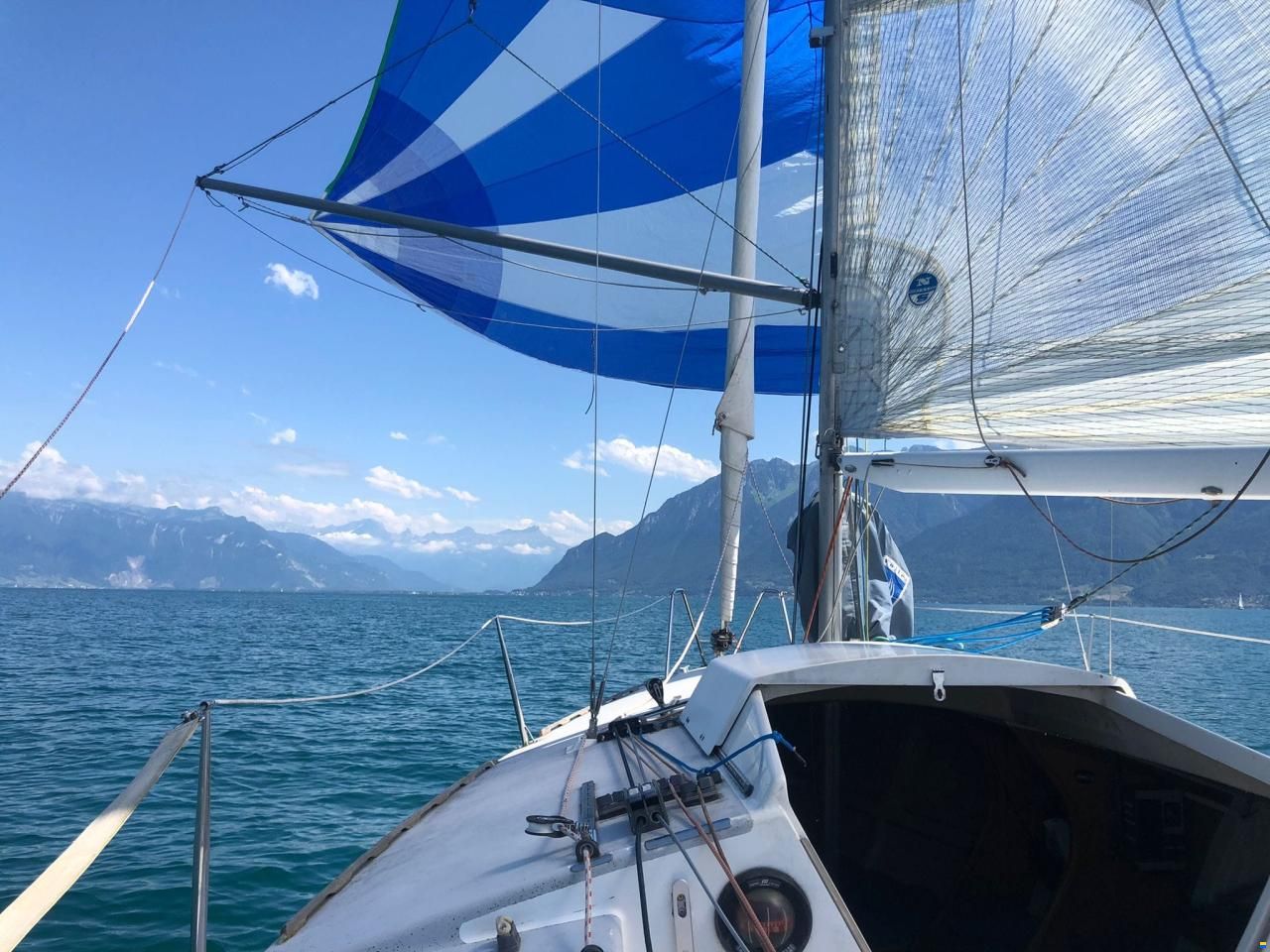 Dolphin 81 Dolphin 81