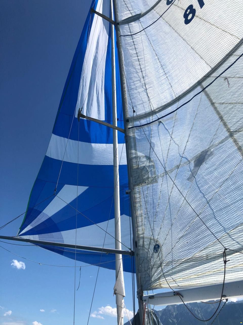 Dolphin 81 Dolphin 81