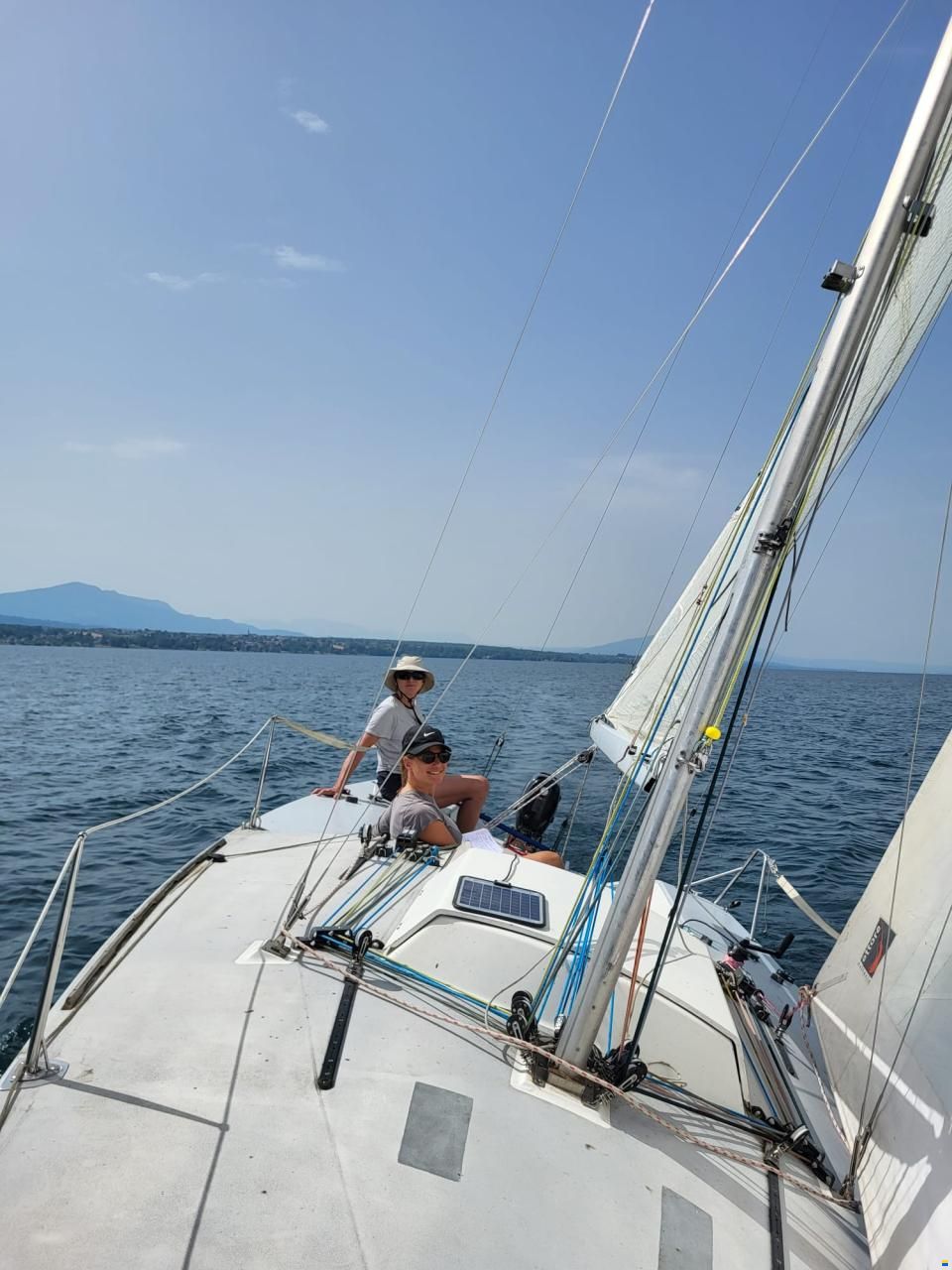 Dolphin 81 Dolphin 81