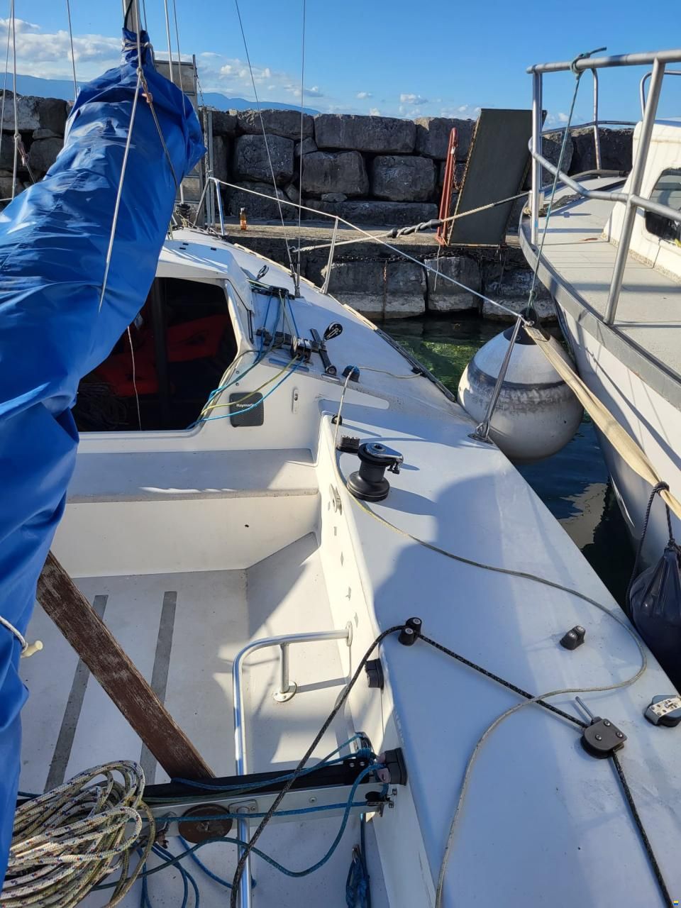 Dolphin 81 Dolphin 81