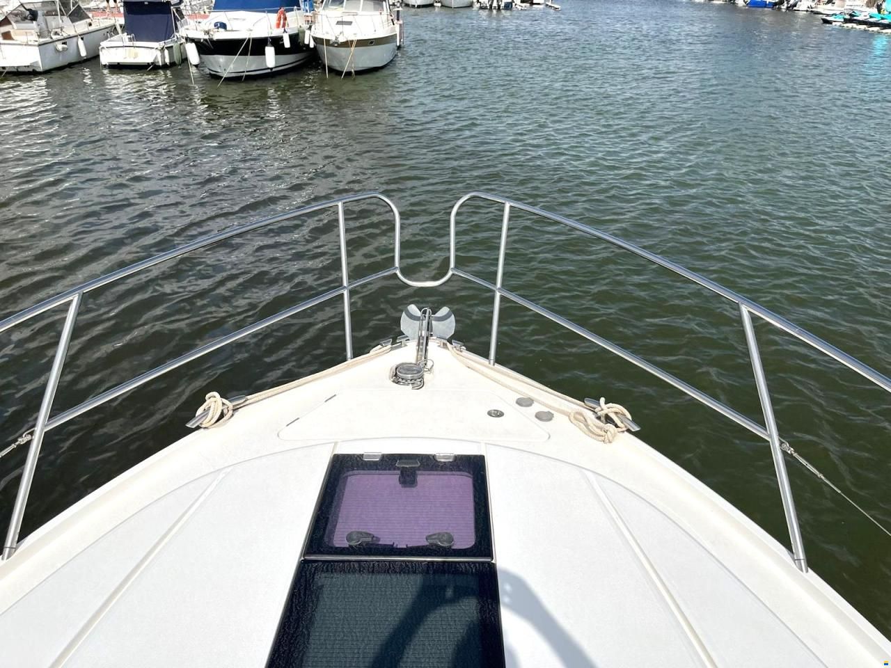 Princess V40