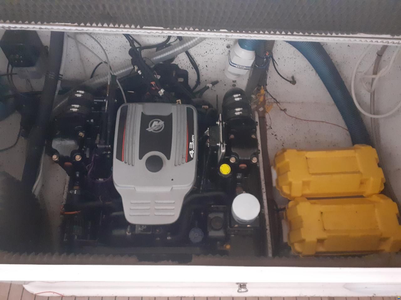 Drago 26