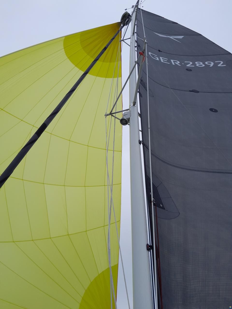 Quorning Dragonfly 28 Sport