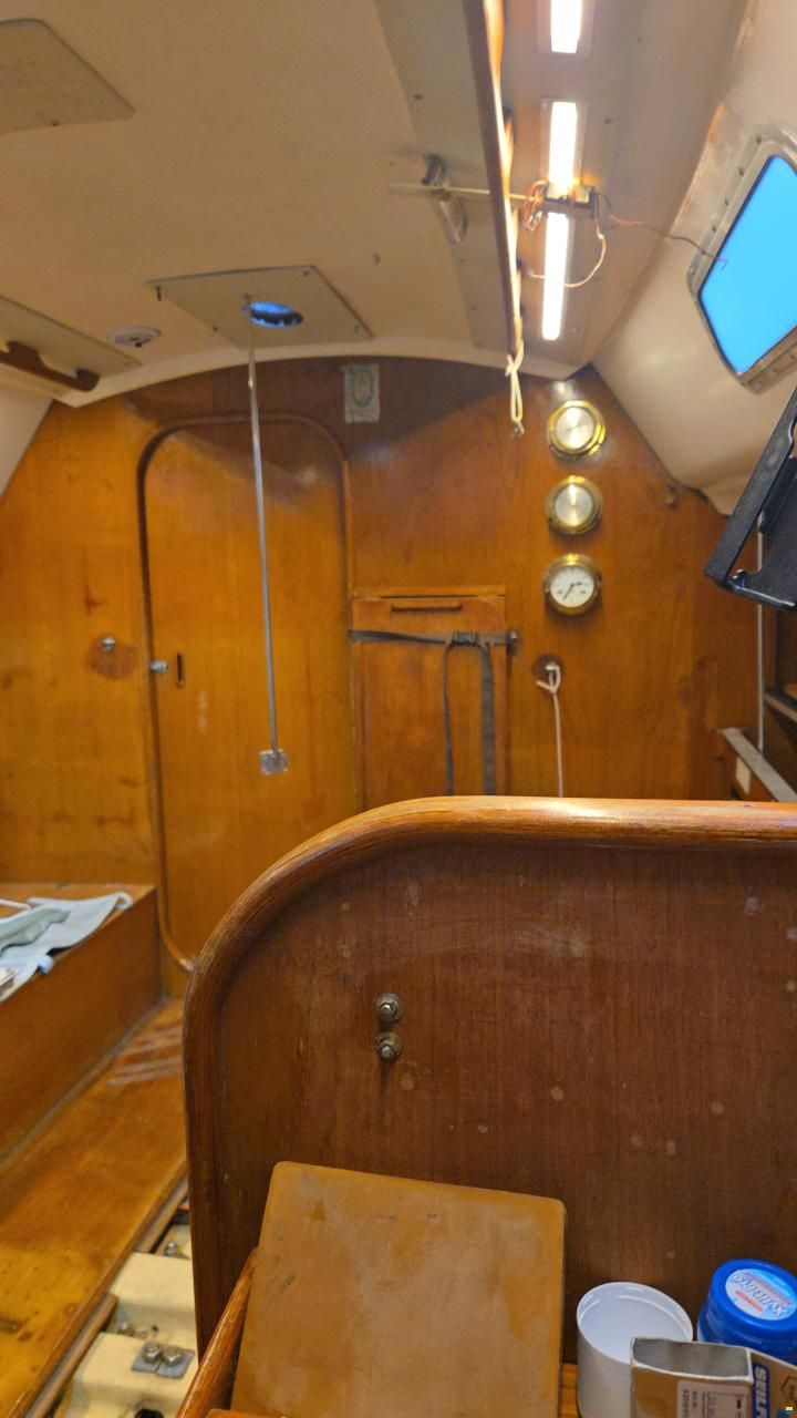 Contessa OOD 34