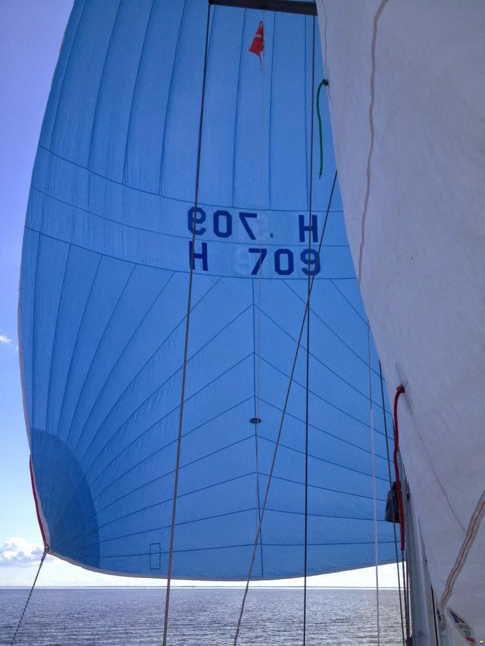 Contessa OOD 34