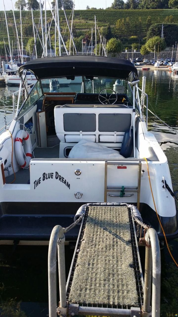 Sea Ray Sundancer 250 DA