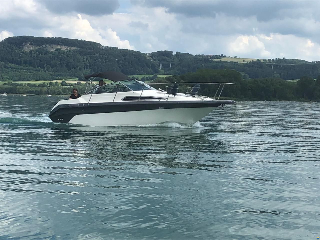 Sea Ray Sundancer 250 DA