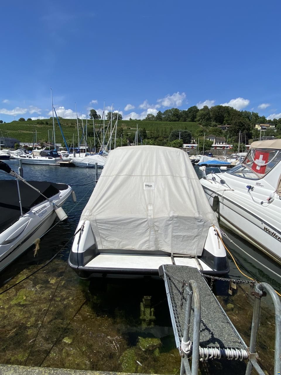 Sea Ray Sundancer 250 DA