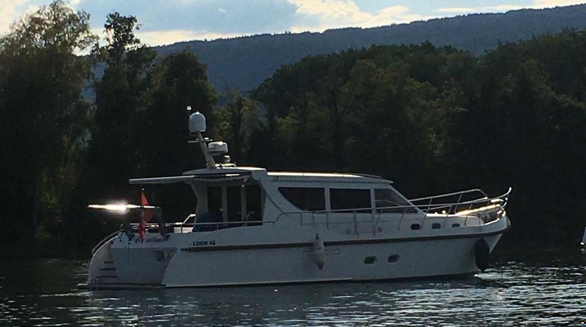 Loon 46