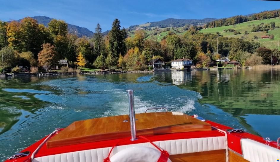 Schweizer Saphire 1B - Volvo Penta/AQ 130/250