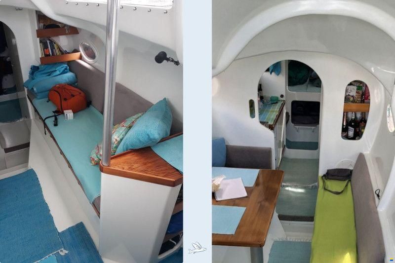 52 ONE OFF Performance Catamaran