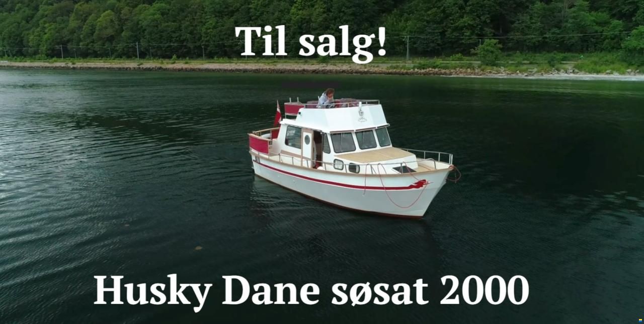 Husky Dane 85
