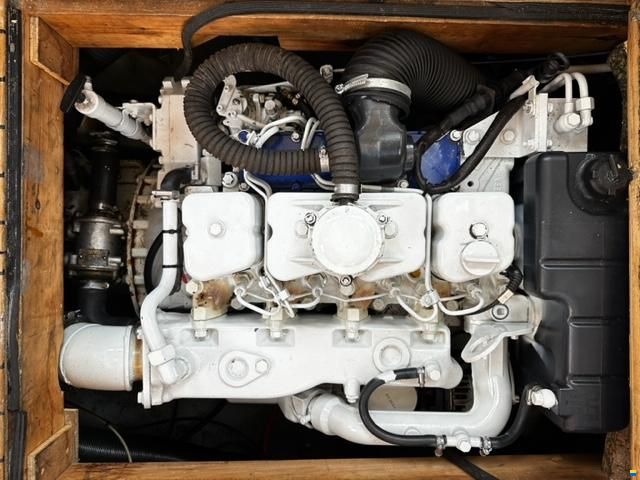Husky Dane 85