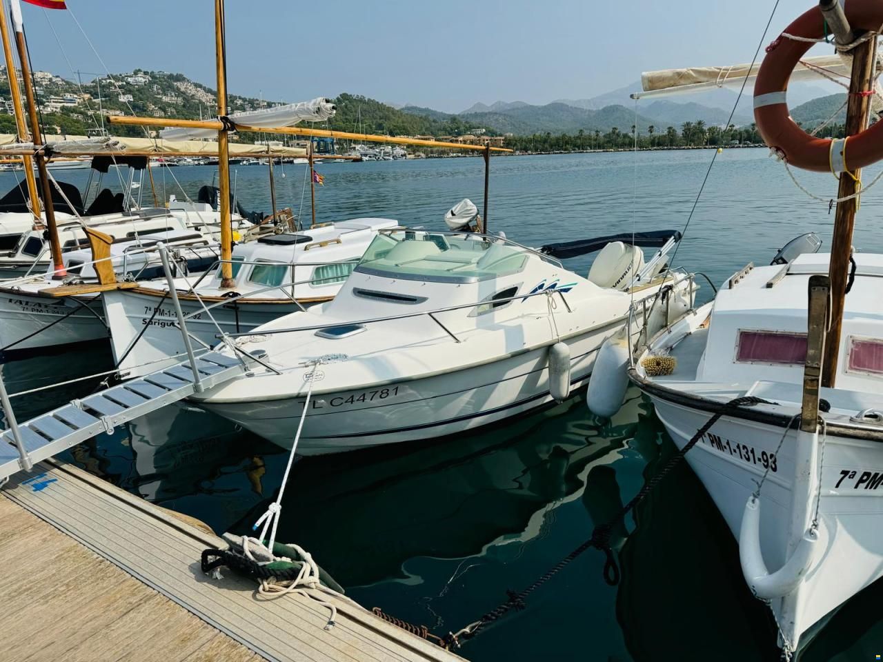 B2 Marine Cap Ferret