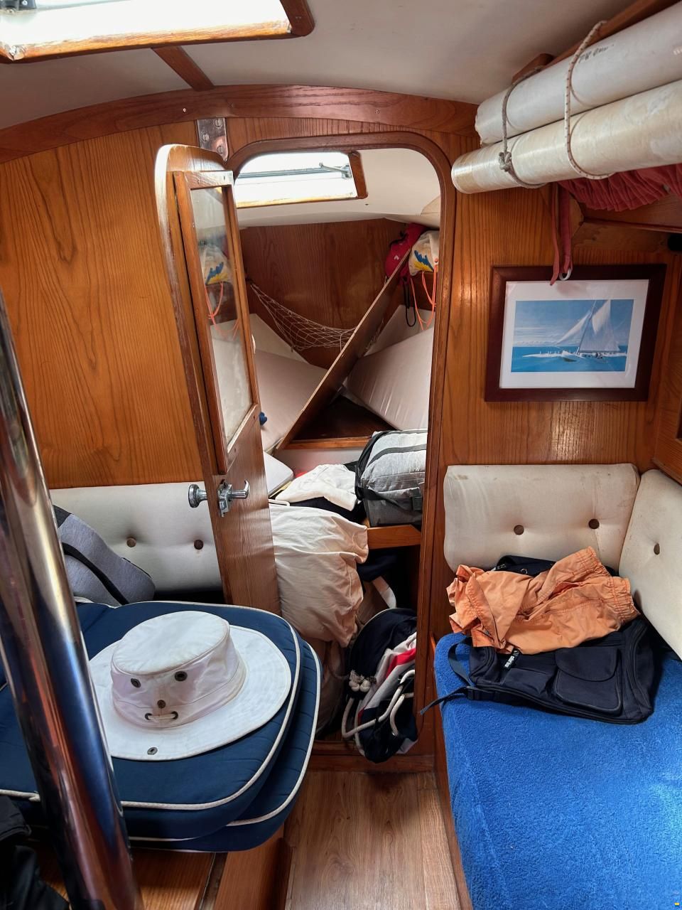 Dresport Furia 32