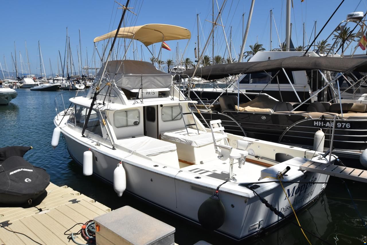 Bertram 31 FLY Cruiser