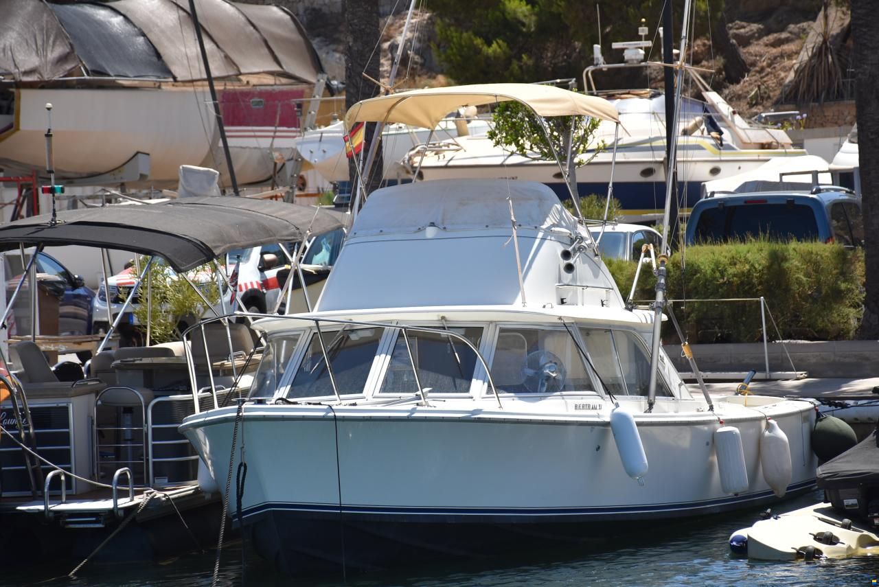 Bertram 31 FLY Cruiser