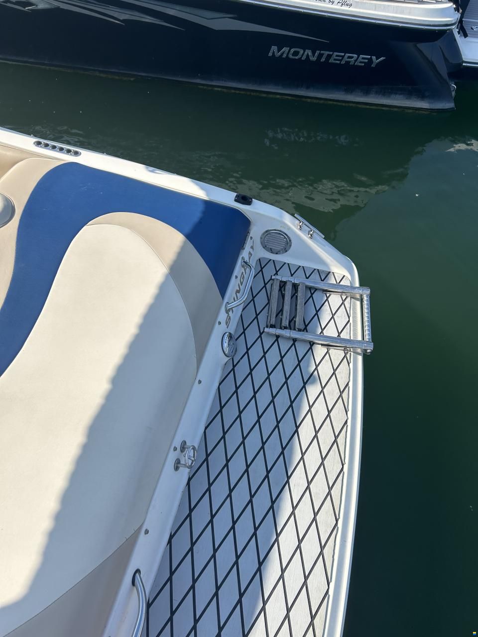 Stingray LX200