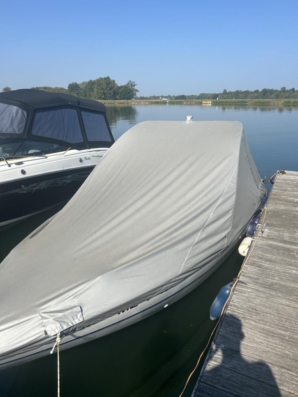 Stingray LX200