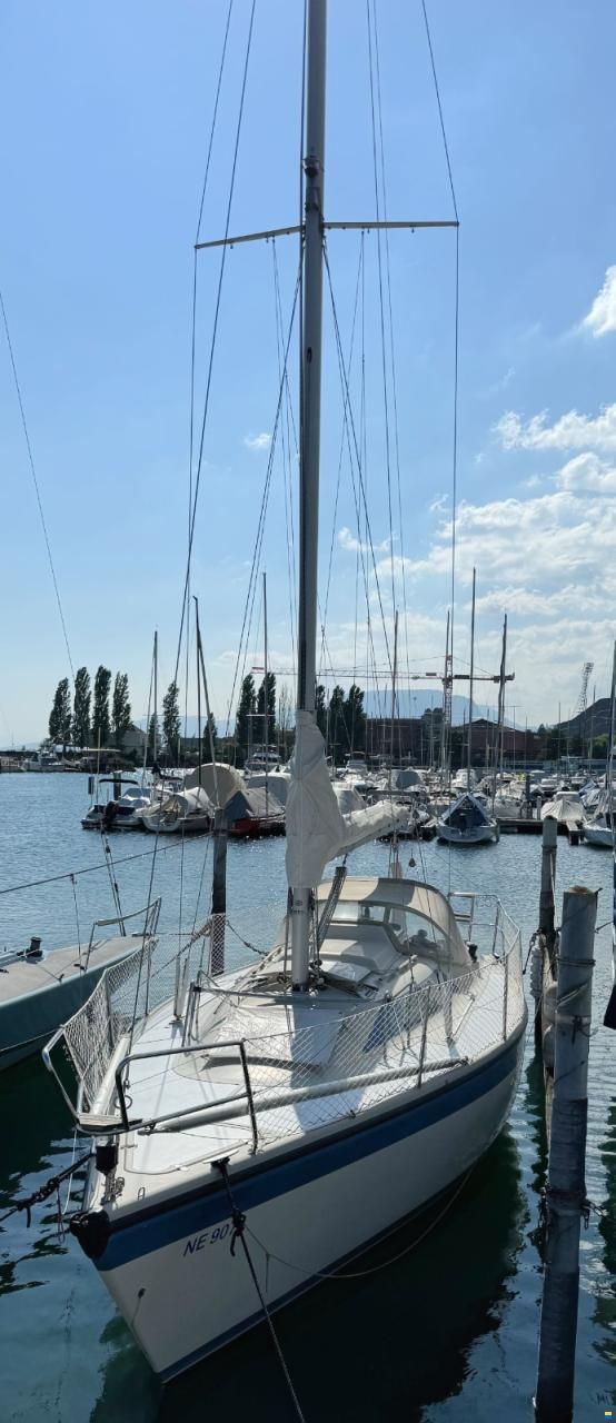 Dehler Duetta 94 / Dehler 31