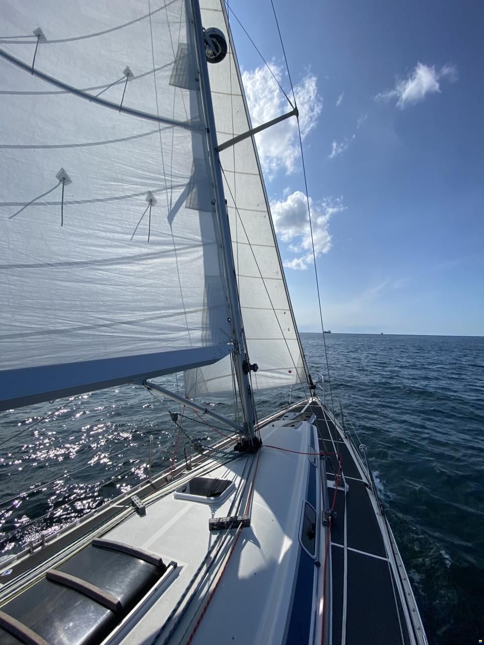 Dynamic 43