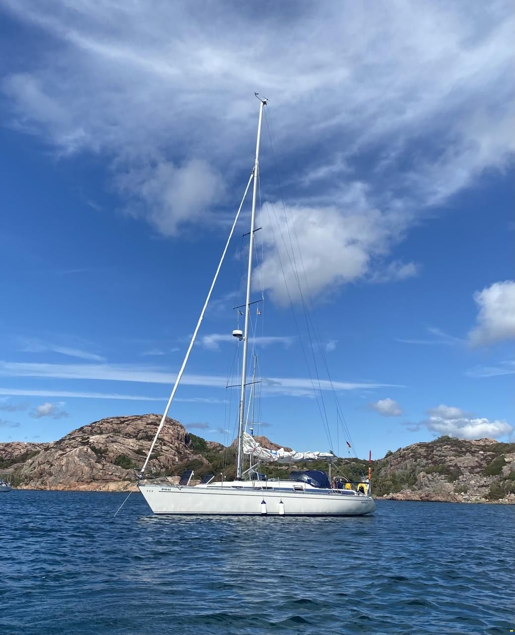 Dynamic 43