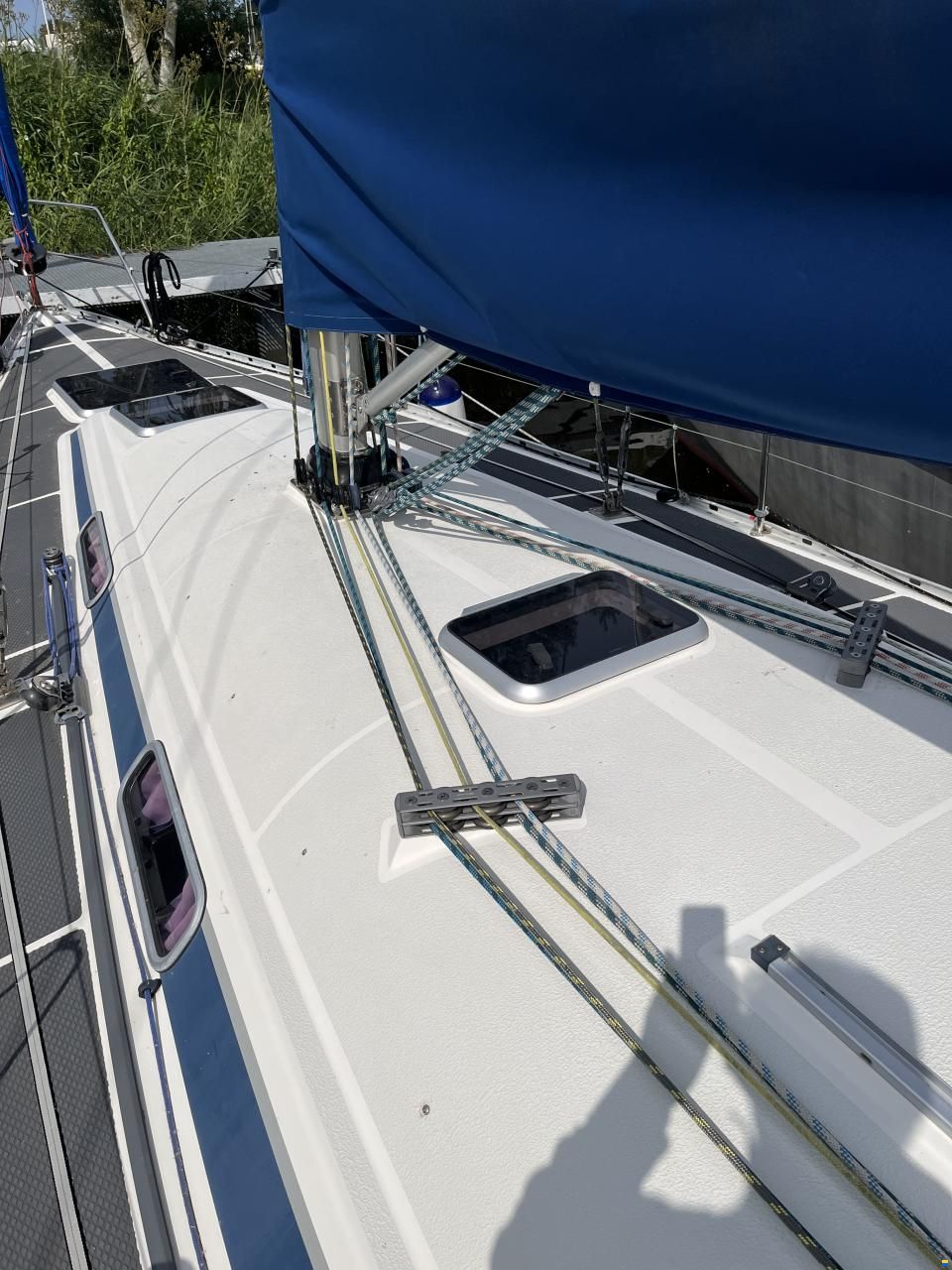 Dynamic 43