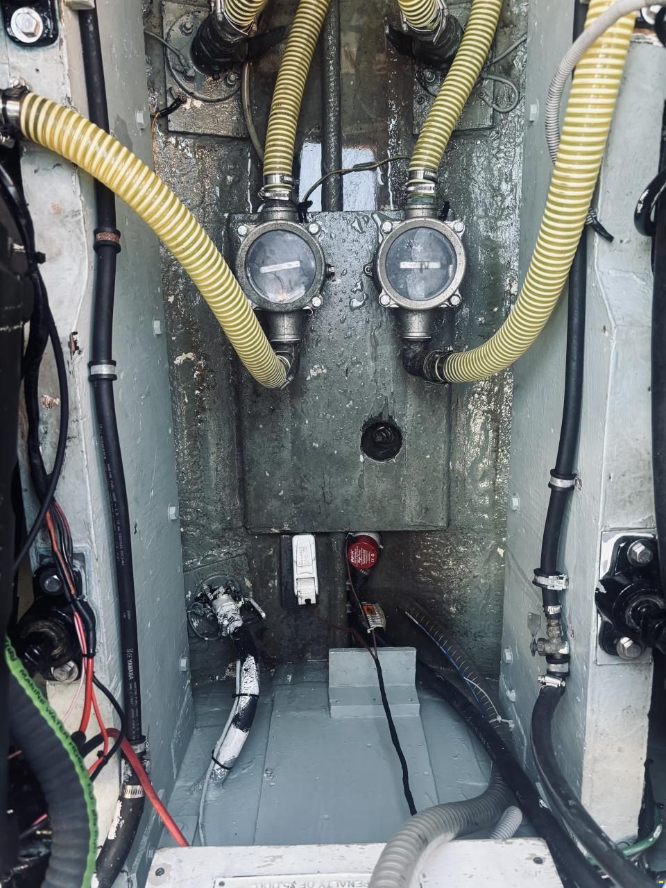 Bertram Moppie 28