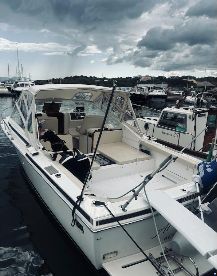 Bertram Moppie 28